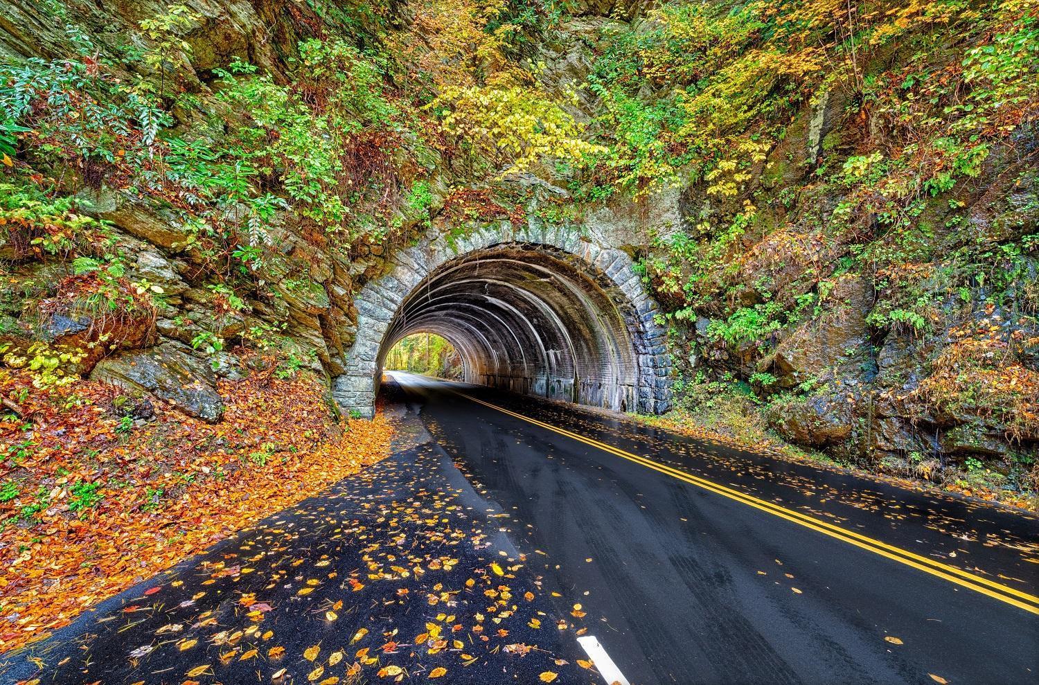 Key Lime Pie, Hot Tub,Wifi, 1089 Free Tickets Each Paid Day, Dollywood And More Gatlinburg Dış mekan fotoğraf