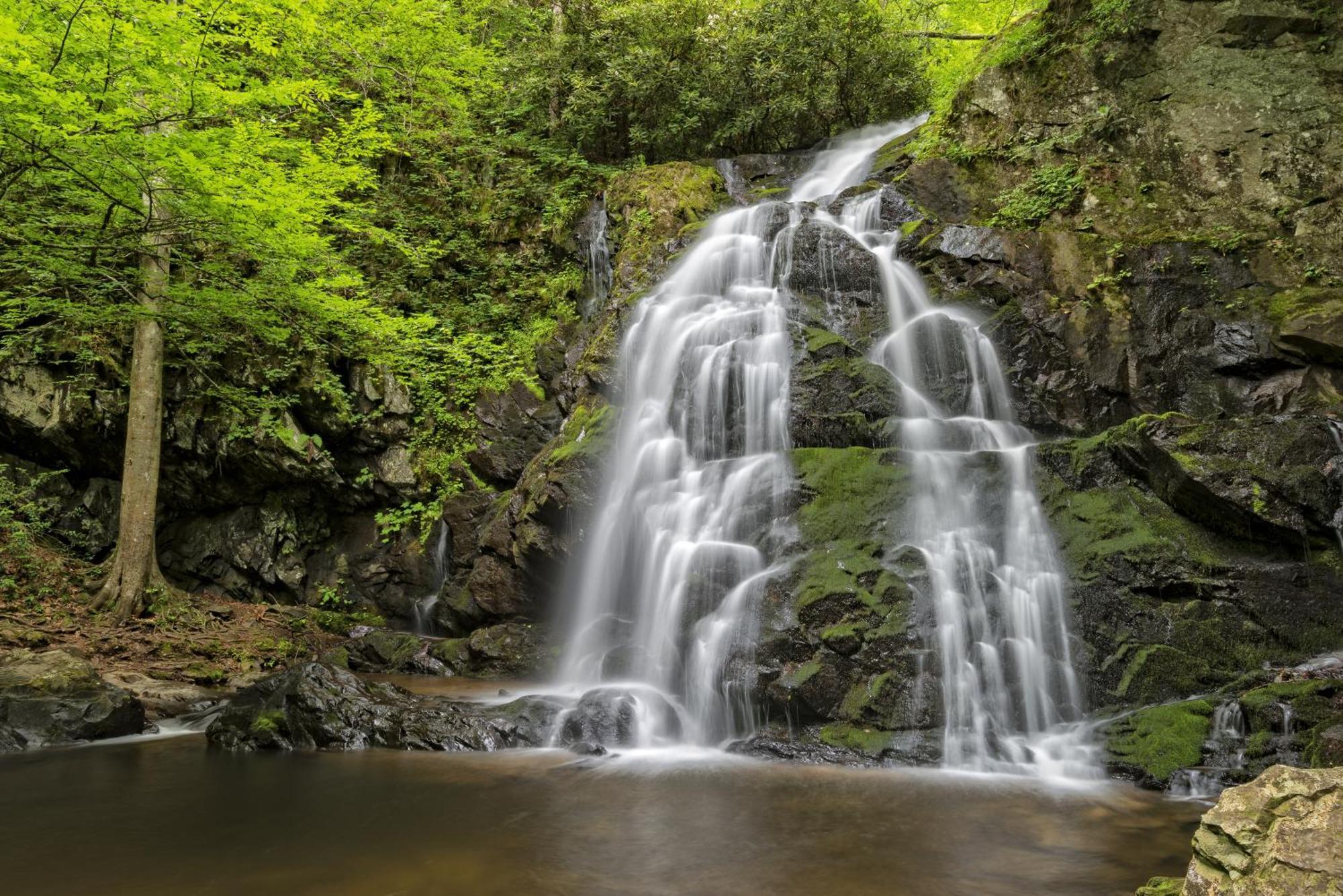 Key Lime Pie, Hot Tub,Wifi, 1089 Free Tickets Each Paid Day, Dollywood And More Gatlinburg Dış mekan fotoğraf