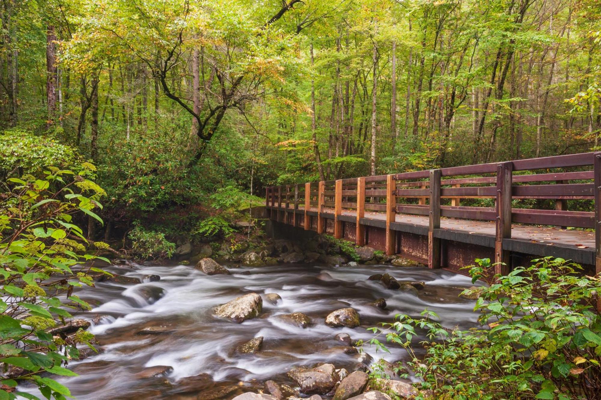 Key Lime Pie, Hot Tub,Wifi, 1089 Free Tickets Each Paid Day, Dollywood And More Gatlinburg Dış mekan fotoğraf